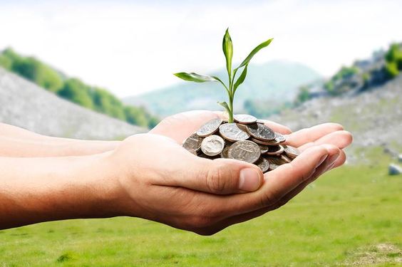 Your Guide to Socially Responsible Investing